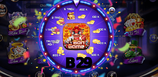 B29