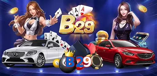B29