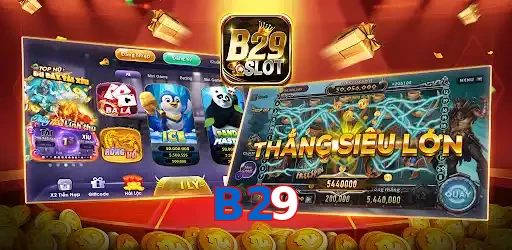 B29